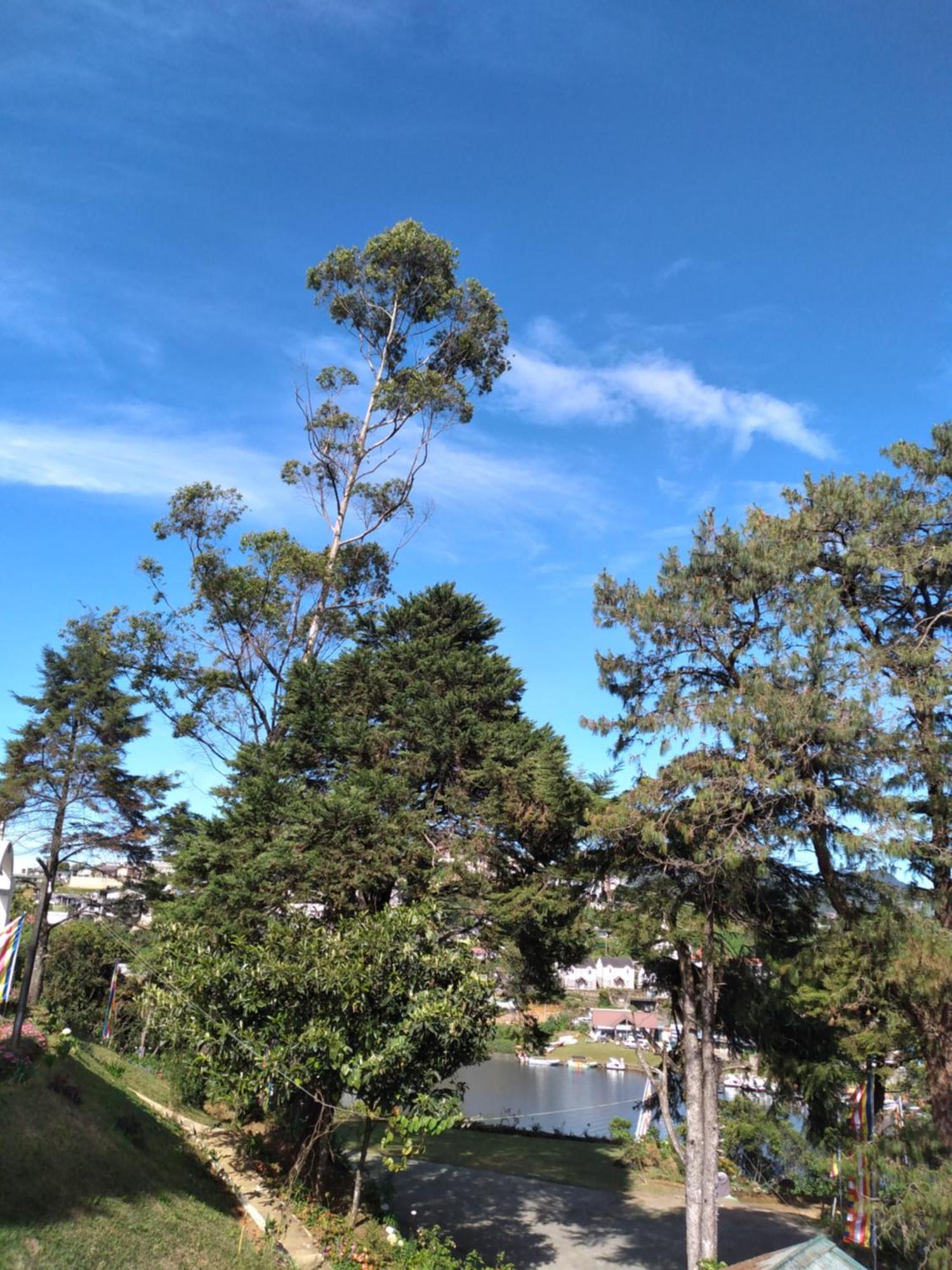 Eco Creations Nuwaraeliya Otel Nuwara Eliya Dış mekan fotoğraf