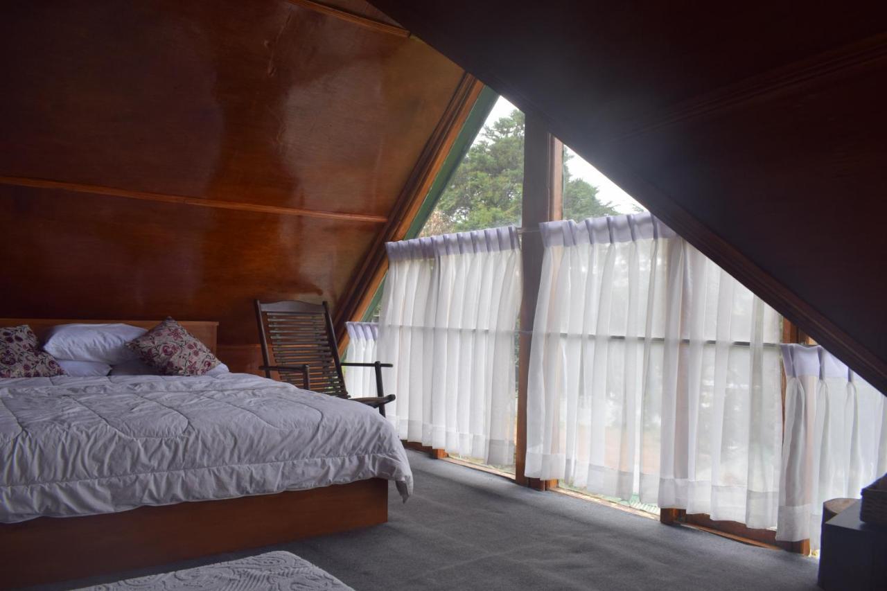 Eco Creations Nuwaraeliya Otel Nuwara Eliya Dış mekan fotoğraf