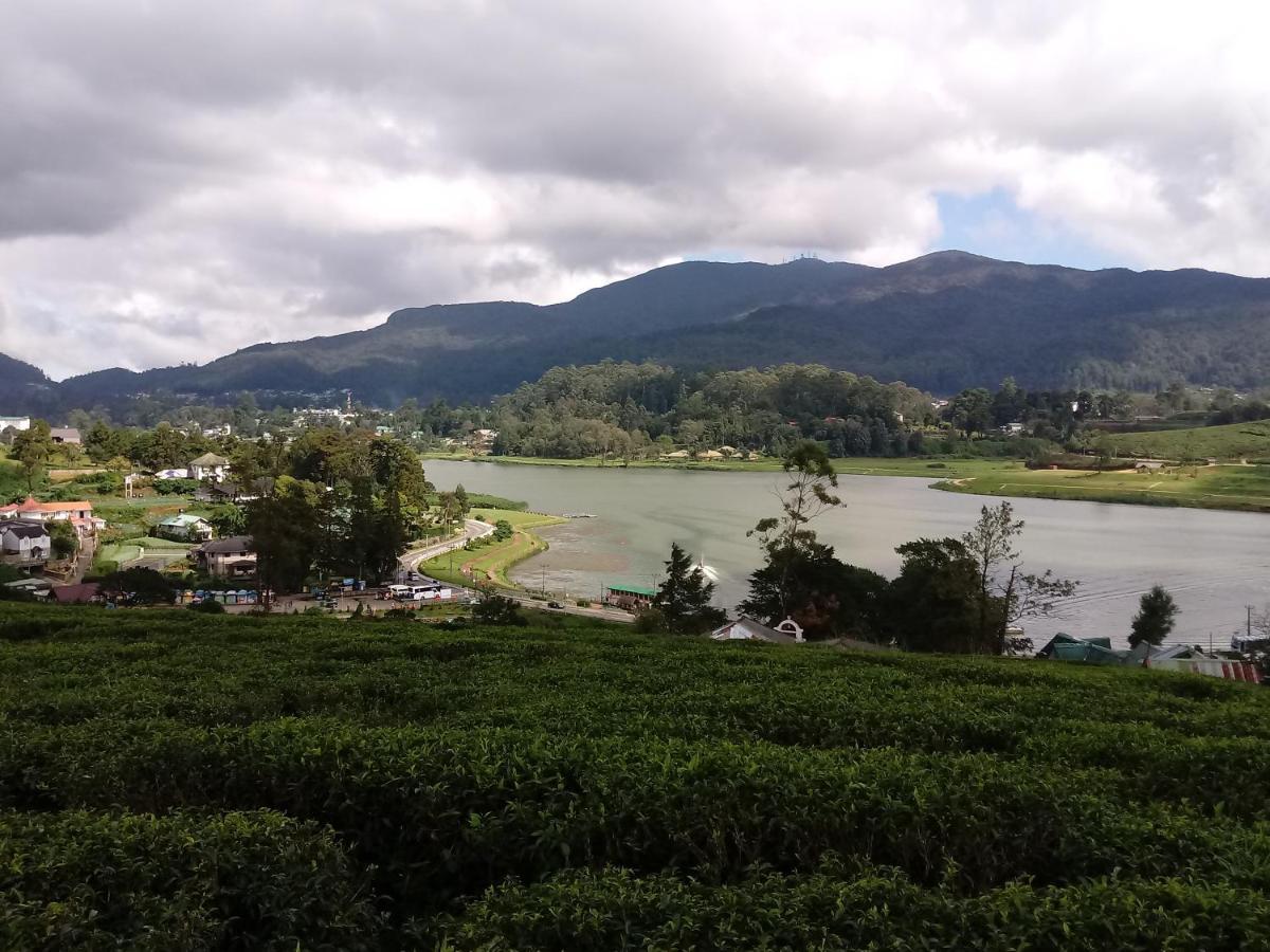 Eco Creations Nuwaraeliya Otel Nuwara Eliya Dış mekan fotoğraf